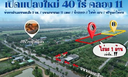 ขายที่ดิน - เปิดแปลงใหม่ 40 ไร่ สดๆร้อนๆ พิกัดคลอง 11 ( ฝั่งตะวันออก ) อำเภอหนองเสือ จังหวัดปทุมธานี