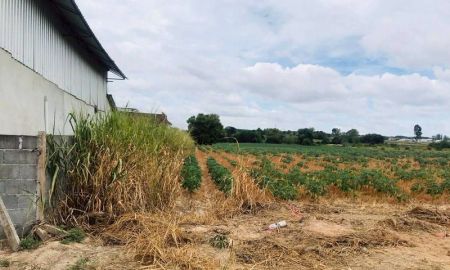 ขายที่ดิน - ขายที่ดินแปลงสวย ทำเลดี ติดโรจนะ มาบยางพร ปลวกแดง ระยอง