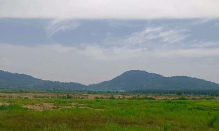 ขายที่ดิน - ขายที่ดินเขาซก หนองใหญ่ เขต free zone นิคมสร้างใหม่ ชลบุรี