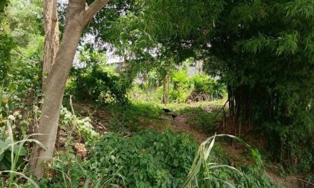 ขายที่ดิน - ขายที่ดินระยอง เขตมาบยางพร ปลวกแดง แปลงสวยติดอมตะซิตี้