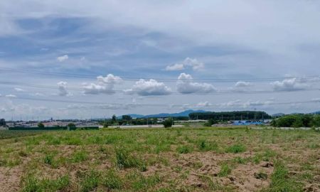 ขายที่ดิน - ขายที่ดินมาบยางพร ปลวกแดง ระยอง แปลงสวย ราคาดี
