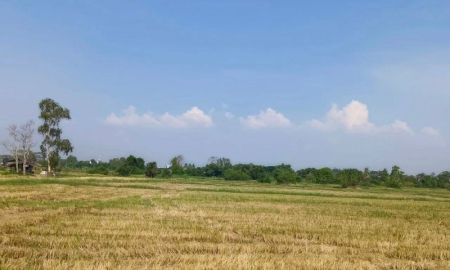 ขายที่ดิน - ขายที่ดินบึง ศรีราชา แปลงสวย ทำเลดี ใกล่ท่าเรือแหลมฉบัง