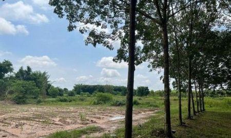 ขายที่ดิน - ขายที่ดิน 42ไร่ 8ล้านบาท โฉนดครุฑเขียว นส3ก. ถนนเข้าออก ต.หนองพันทา อ.โซ่พิศัย บึงกาฬ