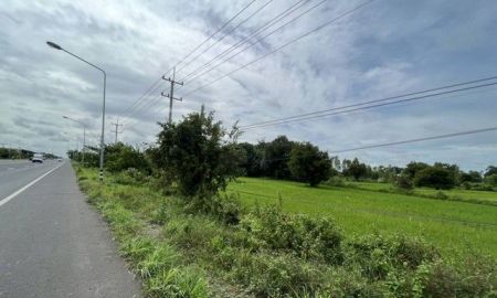 ขายที่ดิน - ขายที่ดินที่นา 3-1-46ไร่ 10ลบ. ไฟฟ้า ประปา ติดถนน4เลน เข้าเมือง 13กม. ต.หนองแก้ว อ.เมือง ศรีสะเกษ