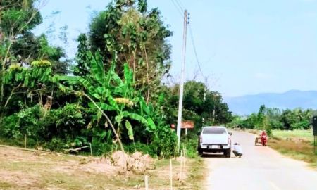 ขายที่ดิน - ที่ดินอยู่อาศัย เนินไม่มีน้ำท่วม ติดถนนคอนกรีต อ.ท่าปลา อุตรดิตถ์