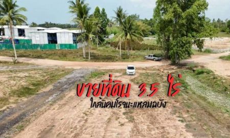 ขายที่ดิน - ขายที่ดินบางละมุง ตะเคียนเตี้ย แปลงสวย ทำเลดีเยี่ยม ใกล้นิคมโรจนะแหลมฉบัง