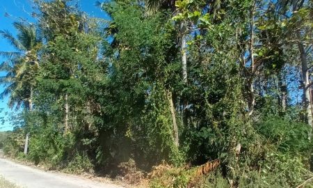 ขายที่ดิน - ขายที่ดิน 2 ไร่ พร้อมต้นสักอายุ 22 ปี บ้านน้อย ต.กกโก อ.เมืองลพบุรี