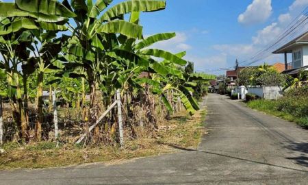 ขายที่ดิน - ขายที่ดินตำบลดอนแก้วแม่ริมแปลงมุมโฉนดพร้อมโอน