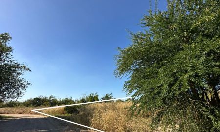 ขายที่ดิน - ขายที่ดินเปล่า รูปแปลงสวย เนื้อที่ 1-0-32 ไร่ ถ.ดอนนุ่น ต.บึง อ.ศรีราชา จ.ชลบุรี