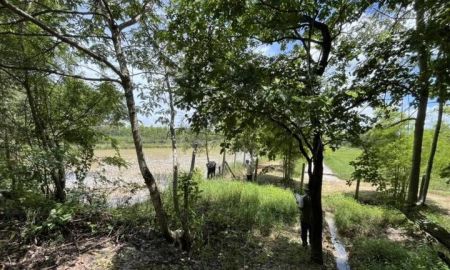 ขายที่ดิน - ขายที่ดินสวย วิวดีติดคลอง ใกล้สนามบินสกลนคร