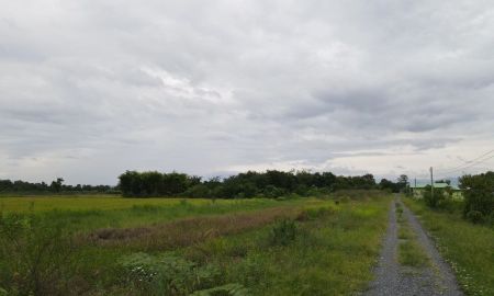 ขายที่ดิน - ที่ดินเงินผ่อน นครนายก ทำเลดี อ.บ้านนา โฉนดครุฑแดง