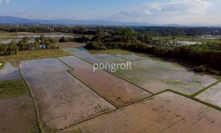 ขายที่ดิน - ขายที่ดินผืนใหญ่ เชียงใหม่ สันกำแพง เนื้อที่รวม 8 ไร่ (ขายรวม 3 แปลง)