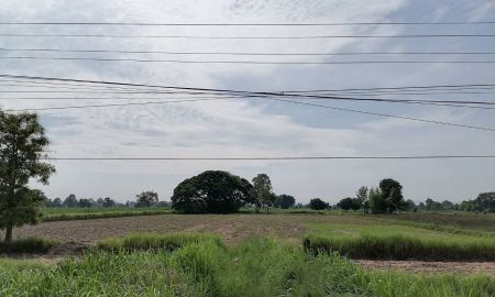 ขายที่ดิน - ขายที่ดินติดถนนชัยภูมิ-ภูเขียว(201) ตำบลธาตุทอง อำเภอภูเขียว