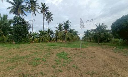 ขายที่ดิน - ขาย ที่ดินเปล่า หนองขอน ใกล้ซ.หม่อนไหม ไม่ไกลจากสถานที่ท่องเที่ยวและท่าอากาศยานหัวหิน