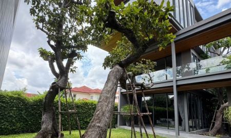 ขายบ้าน - ขายบ้านหรูสร้างนอกโครงการ บ้านใหม่มือ1 ขนาด3ชั้น ในซอยนาคนิวาส ใกล้ Central East Ville มีลิฟต์ สระว่ายน้ำ ตกแต่งพร้อมอยู่ค่ะ