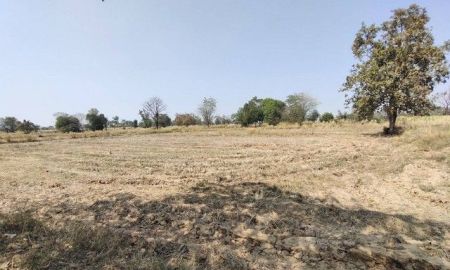 ขายที่ดิน - ขายที่ดิน 12 ไร่ 2 ล้าน ..ด่วน แบ่งขายได้ อำเภอห้วยแถลง จ.นครราชสีมา