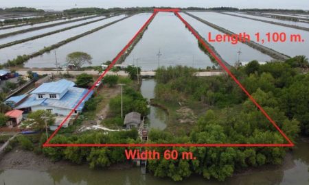 ขายที่ดิน - ขายที่ดินติดทะเล 40 ไร่ บางขุนเทียน พันท้ายนรสิงห์ ใกล้จุดชมปลาโลมา | มีรายได้จากการเลี้ยงสัตว์น้ำ | ใกล้กรุงเทพ ราคาหายาก