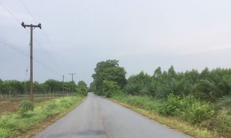 ขายที่ดิน - ขายที่ดิน EEC 24 ไร่ อำเภอบ่อทอง ชลบุรี สำหรับโครงการแนวราบ