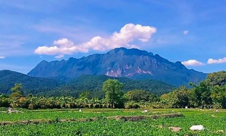 ขายที่ดิน - ขายที่ดินเชียงดาววิวดอยหลวงเชียงดาวติดลำธารน้ำ