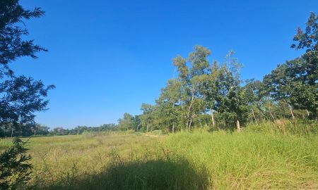 ให้เช่าที่ดิน - ให้เช่าที่ดินผืนงาม 16 ไร่ วิวสนามกอล์ฟลำลูกกาคันทรี่คลับ หน้ากว้างประมาณ 280 ม. ล้อมรั้วแข็งแรงรอบด้าน ถนนโครงการกว้างขวาง