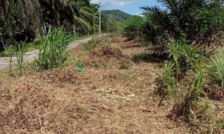 ขายที่ดิน - ขายที่ดินพร้อมสวนปาล์ม ทำเลทอง 26 ไร่ 97.1 ตร.ว. อ.เมืองพังงา หลังการยางแห่งประเทศไทย จ.พังงา