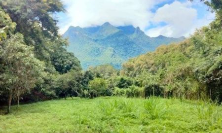 ขายที่ดิน - ขายที่ดินตำบลเชียงดาวใกล้น้ำพุร้อนยางปูโต๊ะโฉนด