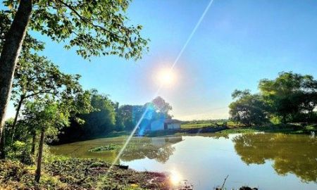 ขายที่ดิน - ขายที่ดินติดน้ำวิวคลอง 3 ไร่ องครักษ์ คลอง 15 หน้าน้ำวิวสวย ด้านหน้าติดถนนลาดยาง ทำเลค้าขาย เหมาะปลูกบ้านสวน ทำคาเฟ่ทำร้านอาหาร ทำรีสอร์ท