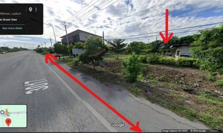 ขายที่ดิน - ขายที่ดินสวนผลไม้พร้อมบ้าน 12ไร่2งาน 12ลบ. ติดถนนใหญ่3017 ใกล้ปั๊มน้ำมันบางจาก ต.พัฒนานิคม อ.พัฒนานิคม ลพบุรี