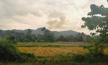 ขายที่ดิน - ขายที่ดิน 4ไร่ 3.2ลบ. ทุ่งนาวิวเขา ติดถนน1098 กิ่วพร้าว-ท่าข้าวเปลือก บ้านแม่หะป่าไร่ ต.ท่าข้าวเปลือก อ.แม่จัน เชียงราย