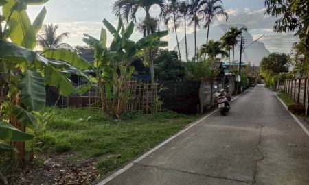 ขายที่ดิน - ขายที่ดินตำบลหางดงติดถนนคอนกรีตห่างถนนหลัก 500เมตร