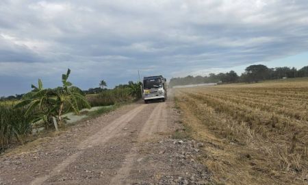 ขายที่ดิน - ที่ดินคลอง 8 ลำลูกกา ปทุมธานี เนื้อที่ 1 ไร่