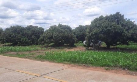 ขายที่ดิน - ขายที่ดินสวนลำไย 9-2-87ไร่ 3.8ลบ.ถ.คอนกรีต2เลน น้ำประปา ไฟฟ้า ใกล้ถนน ชม.-พร้าว บ้านร่มเกล้า ต.แม่แวน อ.พร้าว เชียงใหม่