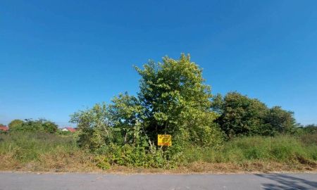 ขายที่ดิน - ขายที่ดินเปล่า ซอยเลียบวารี31 โคกแฝด เขตหนองจอก