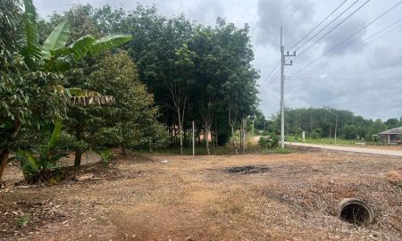 ขายที่ดิน - ขายสวนทุเรียน ทำเลทอง ติดถนน อำเภอวังจันทร์ จังหวัดระยอง