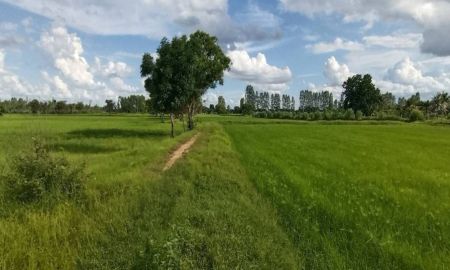 ขายที่ดิน - ที่ดินสวย 25ไร่ ++ ถนนเข้าถึงแปลง ไร่ละ 140,000 บาท