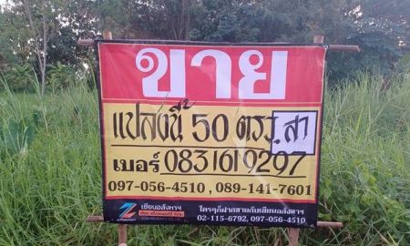 ขายที่ดิน - ขายที่ดินเปล่าราคาถูก ทำเลดี 50วา เย็นจิตร ซอย9 บ้านคลอง เมืองพิษณุโลก ZK602