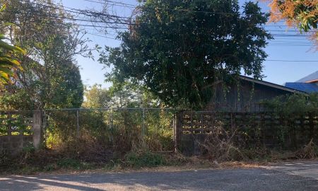 ขายที่ดิน - ที่ดินแปลงใหญ่ 225 ตร.ว. ในอัจฉรา ท่าไข่ สงบ ปลอดภัย ใกล้เมืองแปดริ้ว