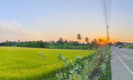 ขายที่ดิน - ขายที่ดิน 2-2-46 ไร่ ติดถนนใหญ่ ไทรน้อย ถนนกว้าง 10 ม.