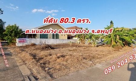 ขายที่ดิน - ขายที่ดิน ถมแล้ว 80 ตรว. ซอยเทศบาล 30/8 ต.หนองม่วง อ.หนองม่วง จ.ลพบุรี