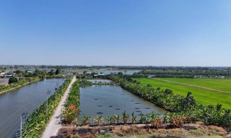 ขายที่ดิน - ขายที่ดิน 1 ไร่ ซอยวัดบัวโรย สมุทรปราการ