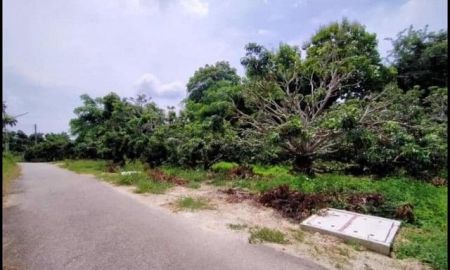 ขายที่ดิน - ขายที่ดิน3งาน 1.96ล้านบาท สวนลำไย ถนน ไฟฟ้า ประปา เขตติดต่อ สารภี แดนเมือง ต.อุโมงค์ เมืองลำพูน