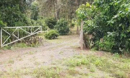 ขายที่ดิน - ขายที่ดินตำบลห้วยทรายสันกำแพงห่างวัดดอยซิว 600เมตร