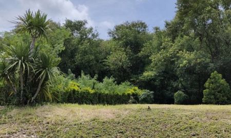 ขายที่ดิน - ขายที่ดินพร้อมโฉนด 1-1-32 ตร.ว. อ.ปากช่อง จ.นครราชสีมา ทำเลดี บรรยากาศร่มรื่น ด้านหลังติดภูเขา