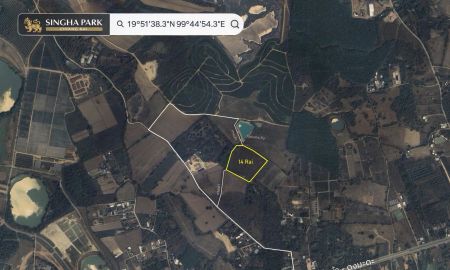 ขายที่ดิน - ขายที่ดินพรีเมี่ยมติด Singha Park Chiang Rai ขนาด 8 ไร่ + 6 ไร่ ( รวม 14 ไร่ ) น้ำไม่ท่วม จังหวัดเชียงราย