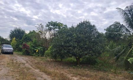 ขายที่ดิน - บ้านพร้อมที่ดินสวนผลไม้ใกล้เเหล่งชุมชน ไม่ใกล้จากเเหล่งชุมชน