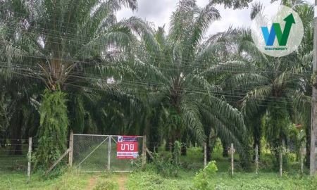 ขายที่ดิน - ที่ดินพัทลุงราคาดี ใกล้โรงเรียนวัดเขาทอง ประมาณ 2 กิโลเมตร