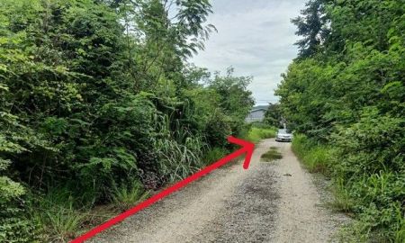 ขายที่ดิน - ขายที่ดินเปล่า 186ตรว. 651,000บ. ถนนหินคลุก หลังวัดป่าตึงงาม ใกล้ถ.ซุปเปอร์2.2กม. ต.ป่าสัก อ.เมืองลำพูน