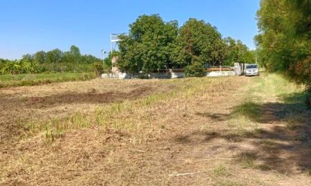 ขายที่ดิน - ขายที่ดินด่วน 2ไร่ อ.วิหารแดง ลดราคายกแปลงจาก 1,200,000บาทเหลือ 1,100,000บาท