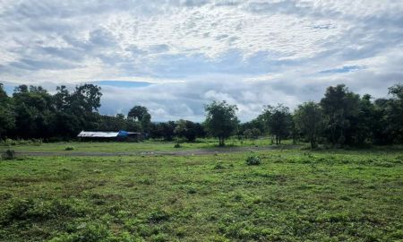 ขายที่ดิน - ขายที่ดิน 118ไร่2งาน 47.4ลบ. โฉนดและนส3ก. ไฟฟ้า น้ำบาดาล ต.ทุ่งปี้ อ.แม่วาง เชียงใหม่