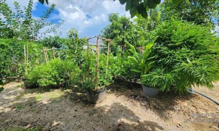 ขายที่ดิน - ขายที่ดินตำบลช้างคลานทำเลดีติดถนนสองด้านโฉนด